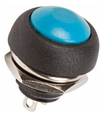 Выключатель-кнопка REXANT 250V 1А (2с) (ON)-OFF Б/Фикс синяя Micro (PBS-33В) - фотография № 1