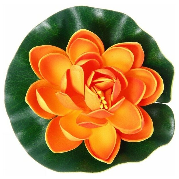 Растение водоплавающее "Кувшинка Розитта" d-13см оранжевая - фотография № 3