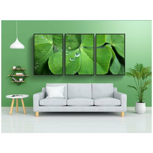 фото Набор модулных постеров для интерьера "четырёхлистный клевер, счастье, зеленый" 60x90 см. в тубусе, без рамки lotsprints