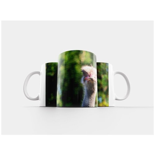 фото Кружка "страус, птица, животное" 320 мл lotsprints