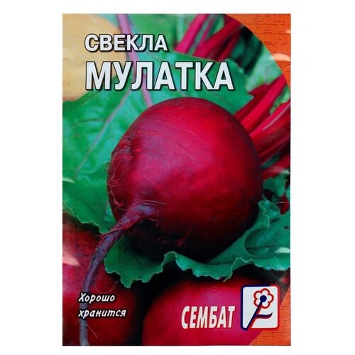 Семена СЕМБАТ Свекла Мулатка 2 г