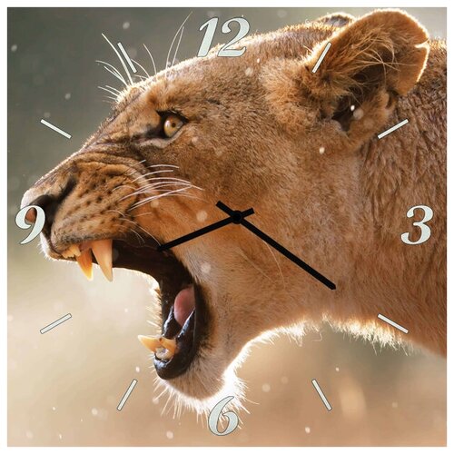 фото Svs настенные часы svs 3502094 дикая кошка