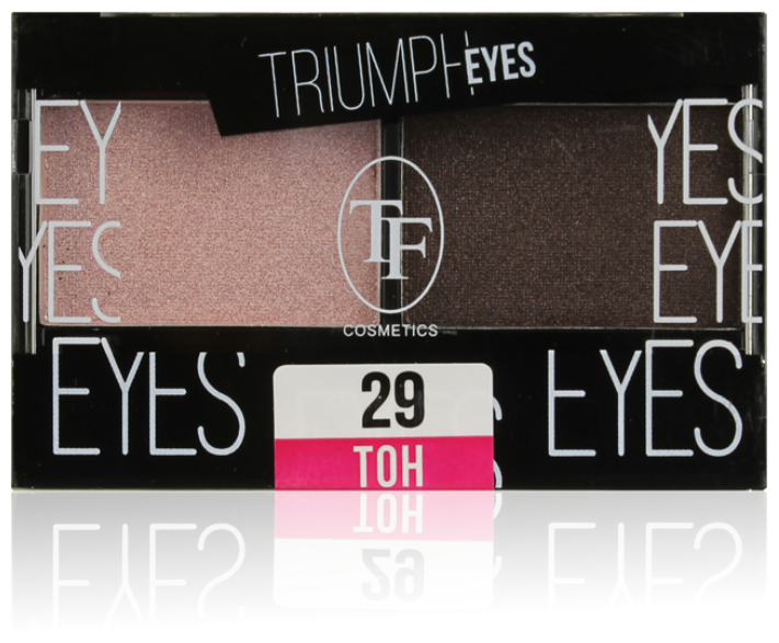 TF Cosmetics Тени для век Eyes 29 пыльный розовый и шоколад