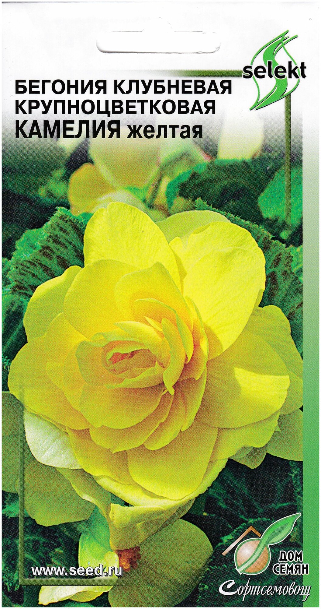 Бегония крупноцветковая Камелия желтая 10 семян