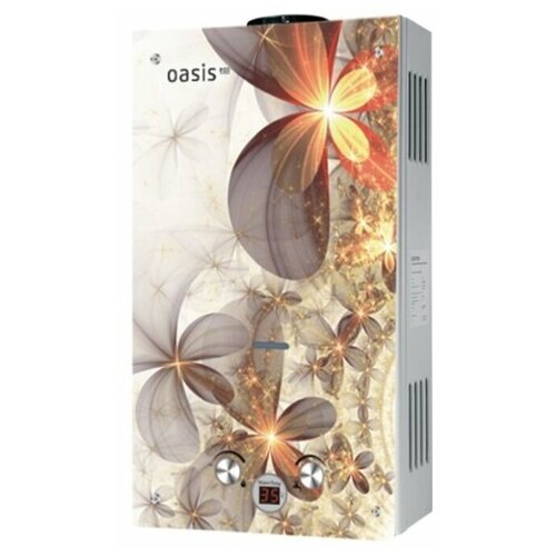 Газовая колонка Oasis Eco B-24 Бежевые цветы 1035000₽