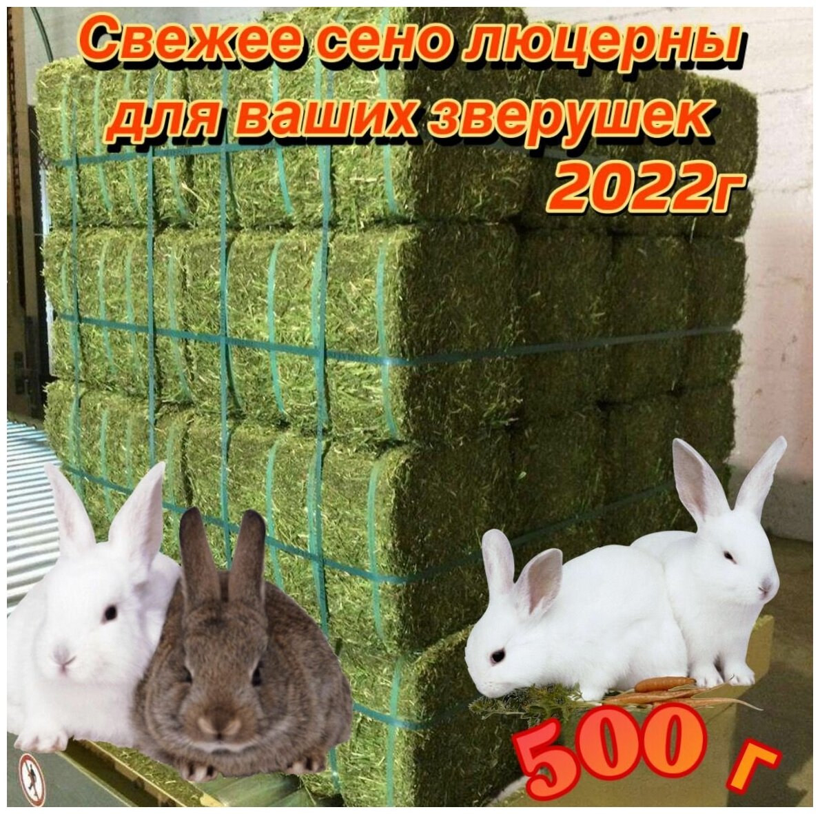 Свежее Зеленое Сено Люцерны 500 г - фотография № 1