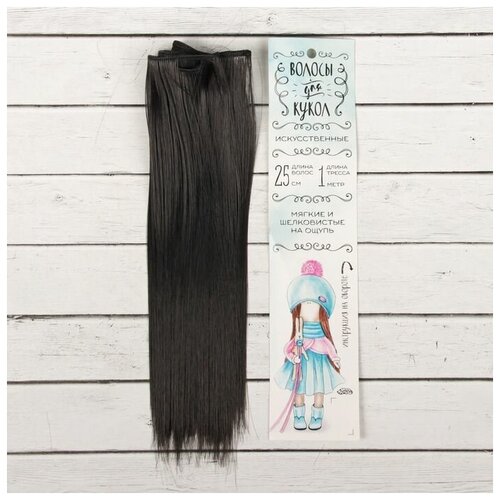 фото Волосы-тресс для кукол школа талантов "прямые", длина волос: 25 см, ширина: 100 см, цвет № 2в