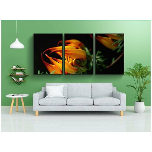 фото Набор модулных постеров для интерьера "цвести, лотос, завод" 60x90 см. в тубусе, без рамки lotsprints