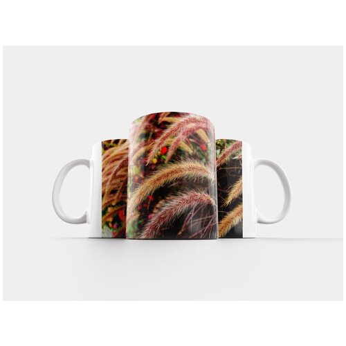 фото Кружка "цветок, природа, декоративное растение" 320 мл lotsprints