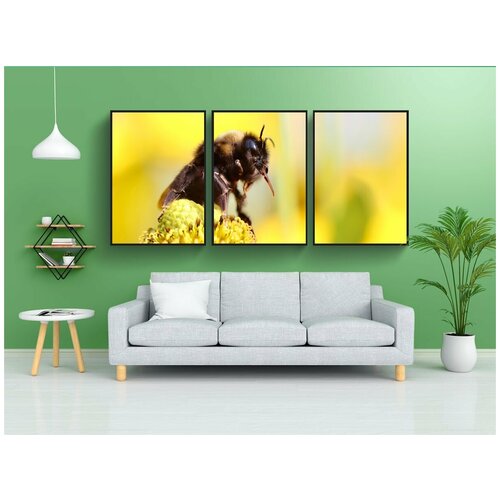 фото Набор модулных постеров для интерьера "шмель, насекомое, всасывания сопла" 60x90 см. в тубусе, без рамки lotsprints