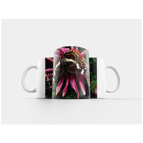 фото Кружка "бабочка, крылья бабочки" 320 мл lotsprints