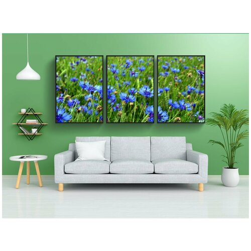 фото Набор модулных постеров для интерьера "васильковый, цвести, зерно" 60x90 см. в тубусе, без рамки lotsprints