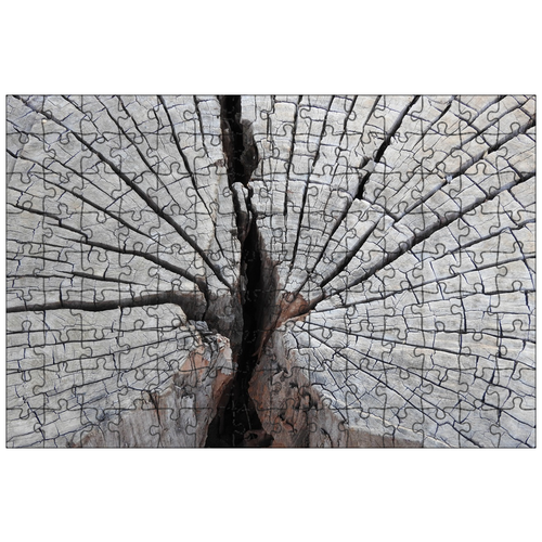 фото Магнитный пазл 27x18см."дерево, кольца, древесина" на холодильник lotsprints