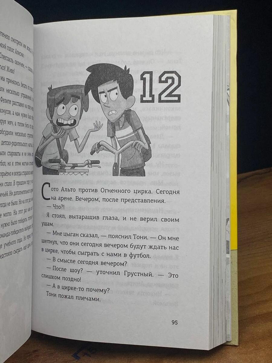 Детективы-футболисты. Тайна огненного цирка - фото №16