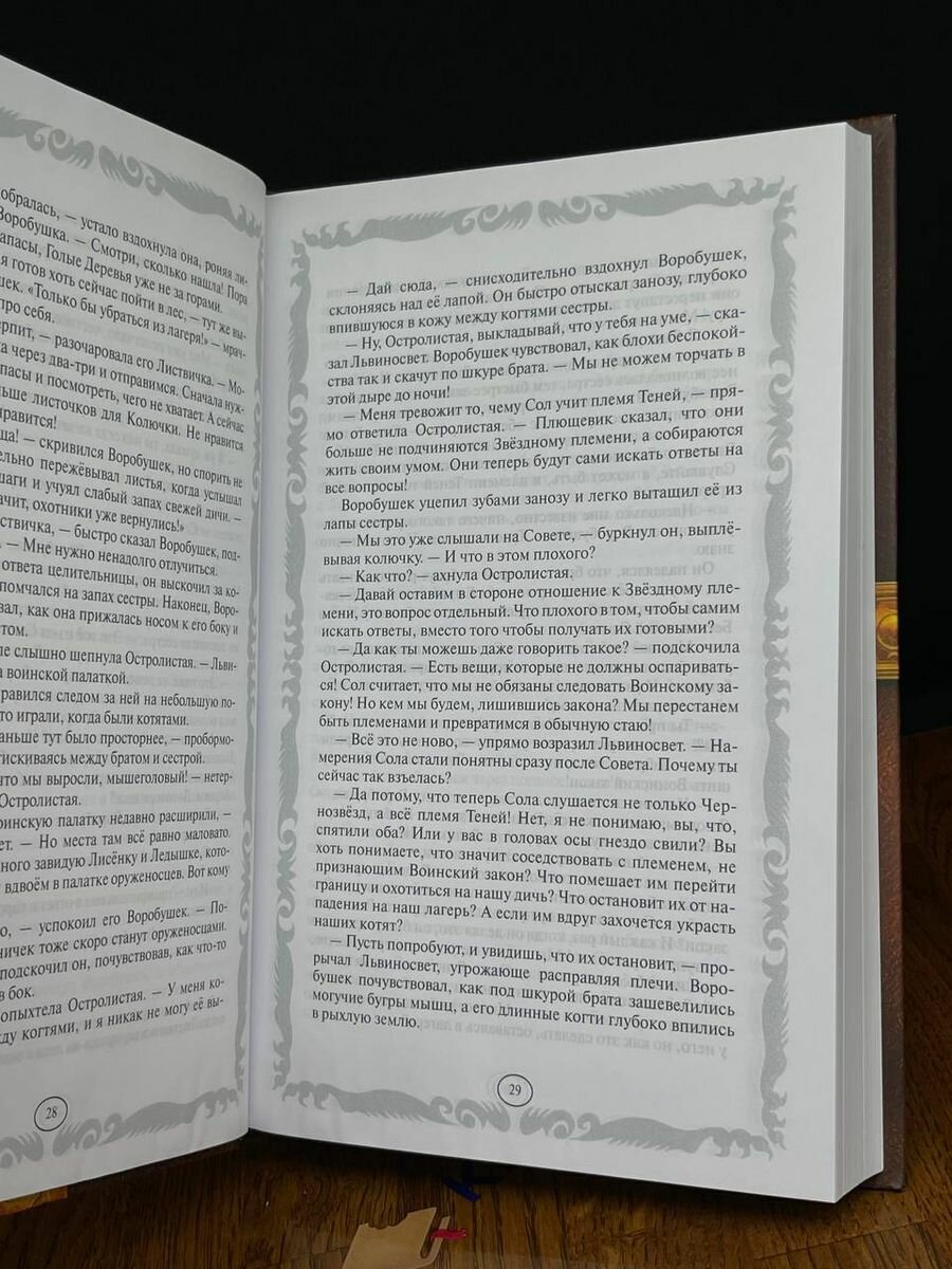 Книга Коты-воители. Длинные тени. Восход солнца - фото №6