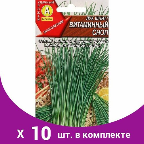 Семена Лук шнитт 'Витаминный сноп', 0,5 г (10 шт) лук шнитт витаминный букет смесь семена