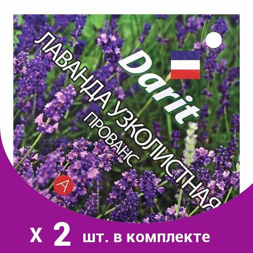 Семена цветов Лаванда узколистная 'Прованс', Мн, DARIT 0,1 г (2 шт) семена цветов лаванда darit узколистная прованс многолетник 0 1 г