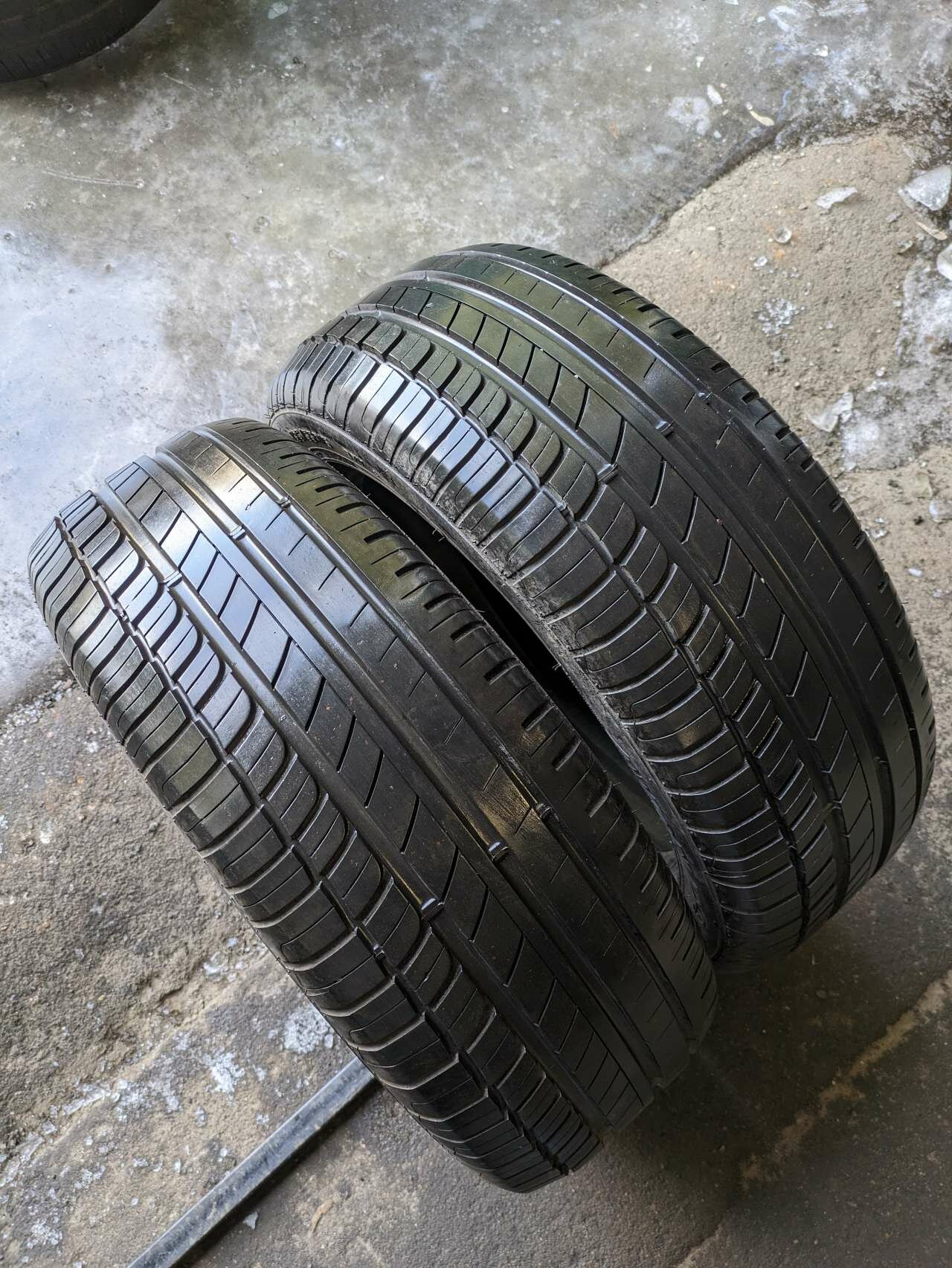 195/55 R16 87V Avon ZV5