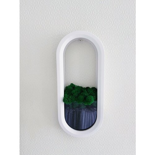 Настенное кашпо со мхом 2900₽