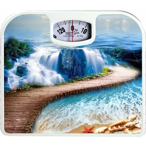 Весы MAXTRONIC MAX-1647 наполь механ 989₽