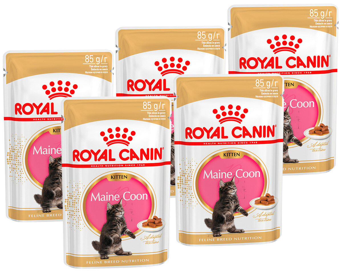 ROYAL CANIN MAINE COON KITTEN для котят мэйн кун в соусе пауч 85 гр 85 гр х 5 шт