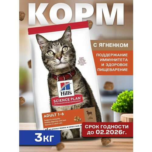 Сухой корм для взрослых кошек с ягненком, 3 кг