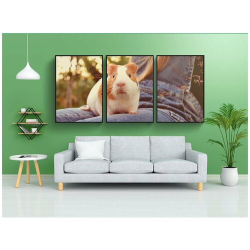 фото Набор модулных постеров для интерьера "гвинея, свинья, животное" 60x90 см. в тубусе, без рамки lotsprints