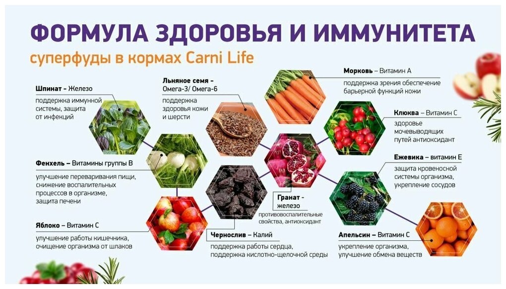 Сухой корм для кошек CARNI LIFE Adult говядина с черносливом и клюквой 1,5кг - фотография № 7