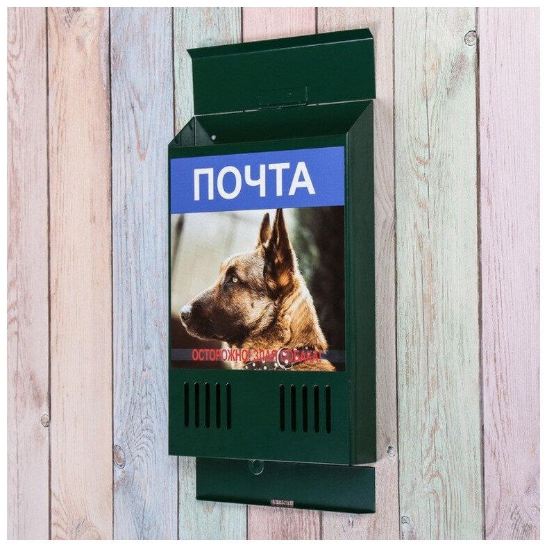 Ящик почтовый с замком, вертикальный, 31х21х4 см, фото микс, зеленый 4665323 - фотография № 11