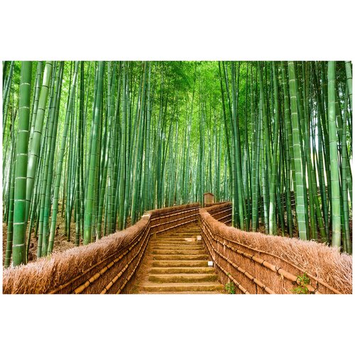 Фотообои Уютная стена Бамбуковый лес парка Киото. Япония 400х270 см Бесшовные Премиум (единым полотном)