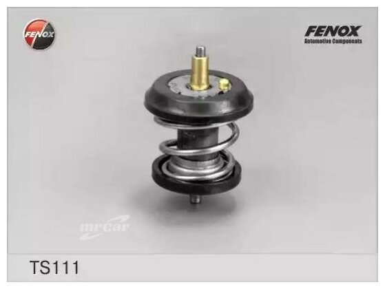 FENOX TS111 Термостат, 95°С