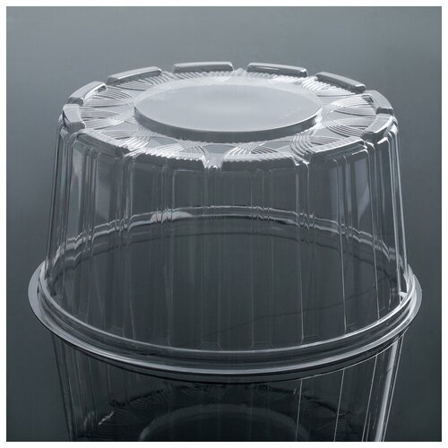 Тортница одноразовая ПР-Т-192, крышка, 22,5x11 см, цвет прозрачный, 150 шт/уп../В упаковке шт: 150