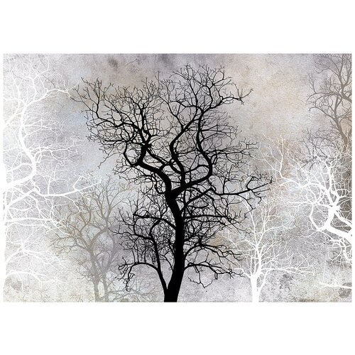 Сухое дерево ночь - Виниловые фотообои, (211х150 см) сухое дерево день виниловые фотообои 211х150 см
