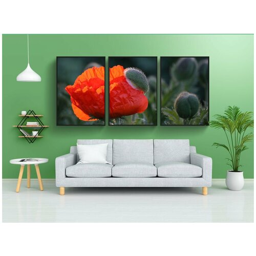 фото Набор модулных постеров для интерьера "цветок мака, бутон мака, закрывать" 60x90 см. в тубусе, без рамки lotsprints