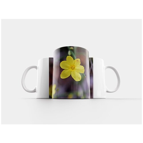 фото Кружка "зимний жасмин, цветок, орнаментальный" 320 мл lotsprints