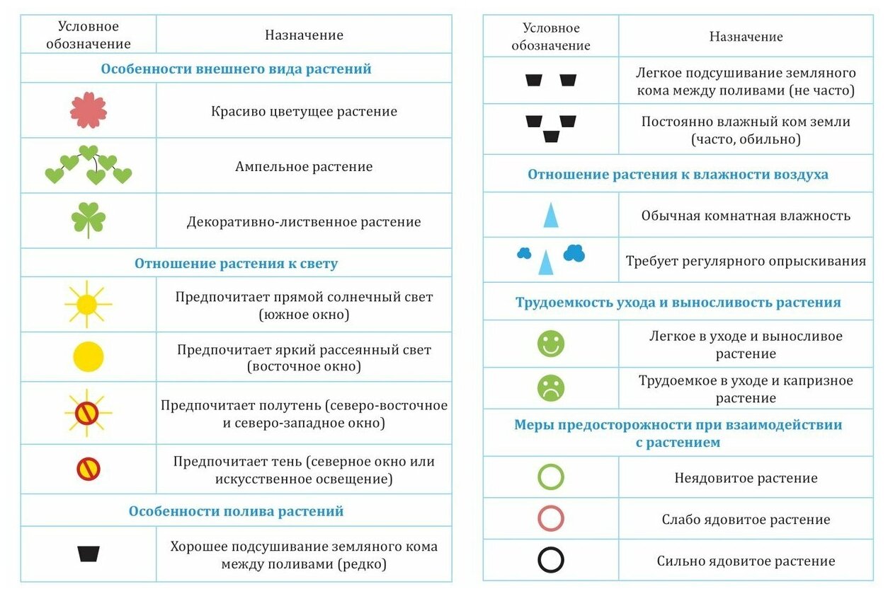 Картотека предметных картинок №32. Комнатные растения и модели ухода за ними. 3-7 лет. - фото №6