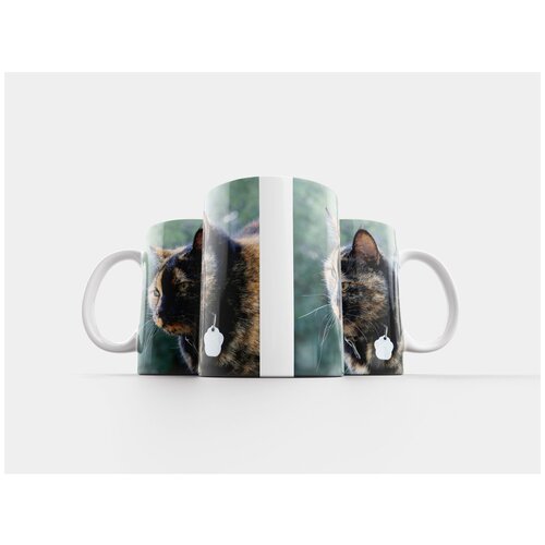 фото Кружка "кот, animalia, mammalia" 320 мл lotsprints