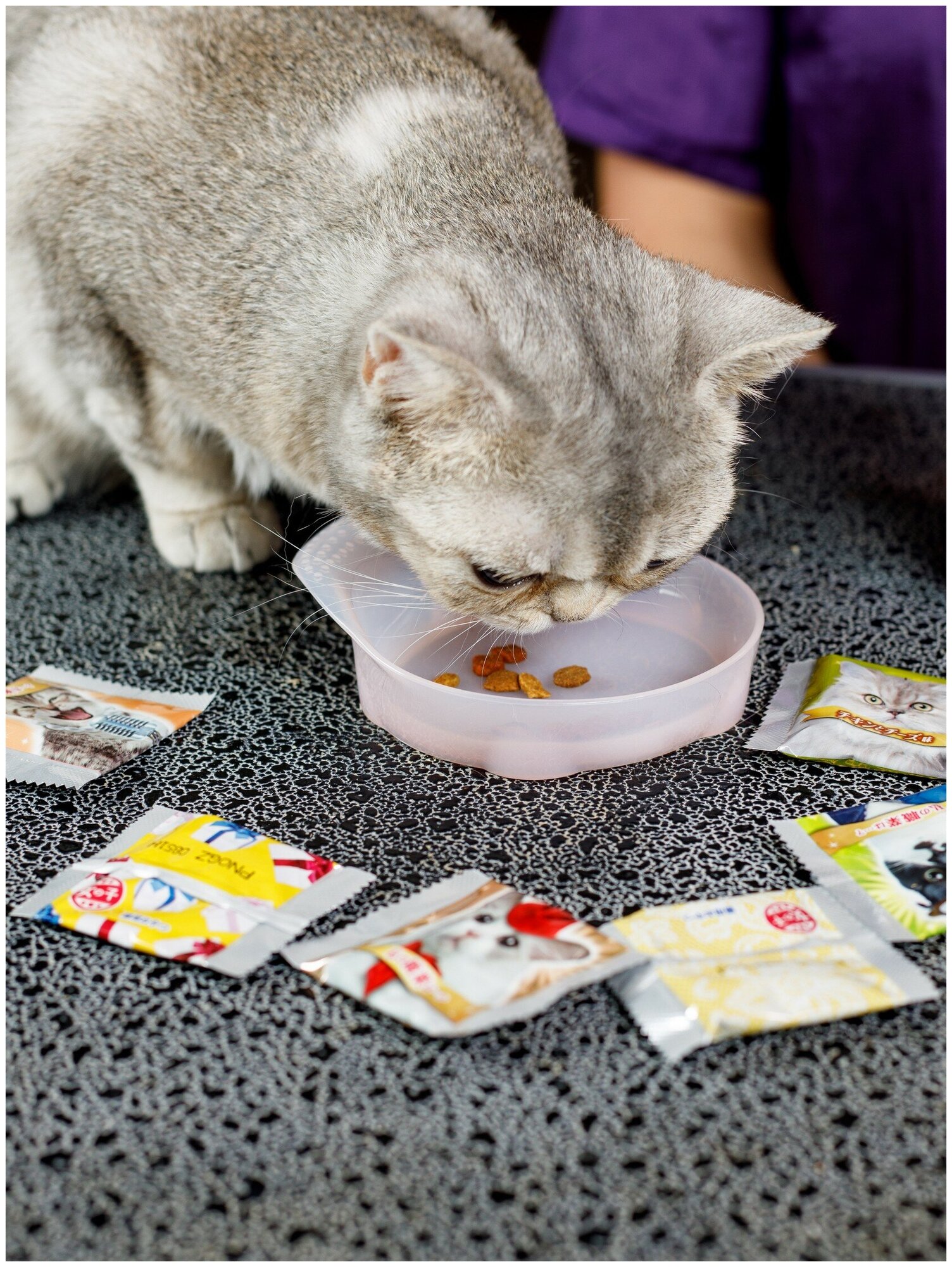 Лакомство для кошек Japan Premium Pet, хрустящий корм PRESENT для избалованных кошек на основе японского цыплёнка в сырном соусе, 42 г - фотография № 5