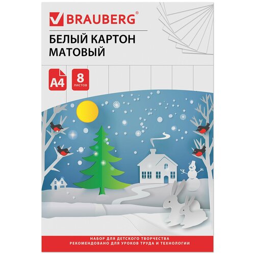 Картон белый А4 немелованный (матовый), 8 листов, в папке, BRAUBERG, 200х290 мм, 