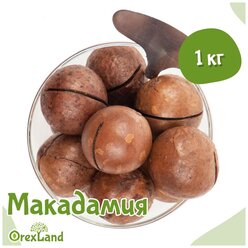 Макадамия орех (Macadamia) в скорлупе Orexland с двумя ключиками, 1 кг