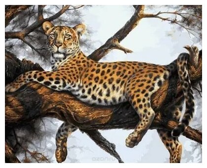 Леопард на отдыхе