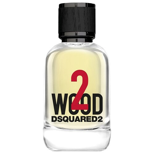 DSQUARED2 туалетная вода 2 Wood, 50 мл, 323 г кипарис кипарисовик ель подарок