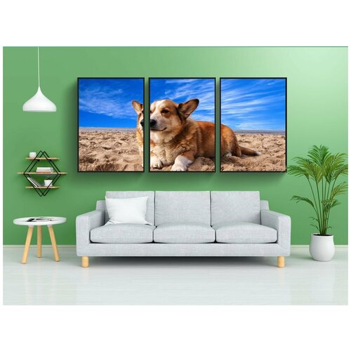 фото Набор модулных постеров для интерьера "вельш корги, собака, pet" 60x90 см. в тубусе, без рамки lotsprints