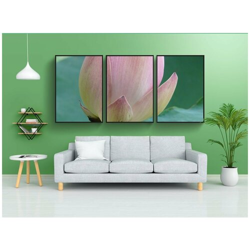фото Набор модулных постеров для интерьера "лотос, цветок лотоса, цвести" 60x90 см. в тубусе, без рамки lotsprints