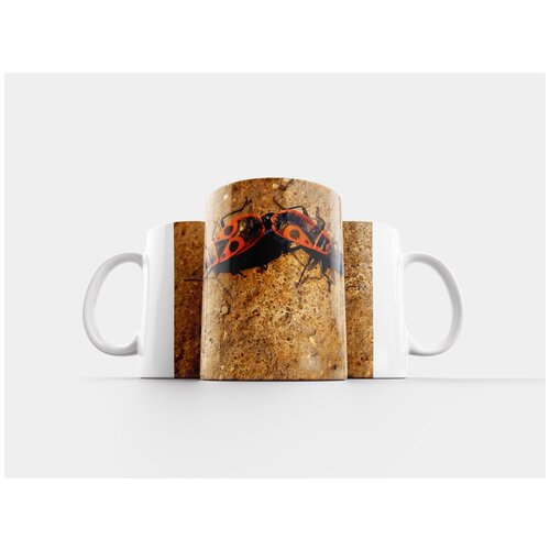 фото Кружка "кузнец бескрылый, членистоногие, sześcionogi" 320 мл lotsprints