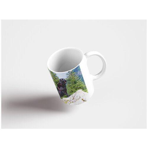 фото Кружка "собака, ретривер с плоской шерстью, животное" 320 мл lotsprints