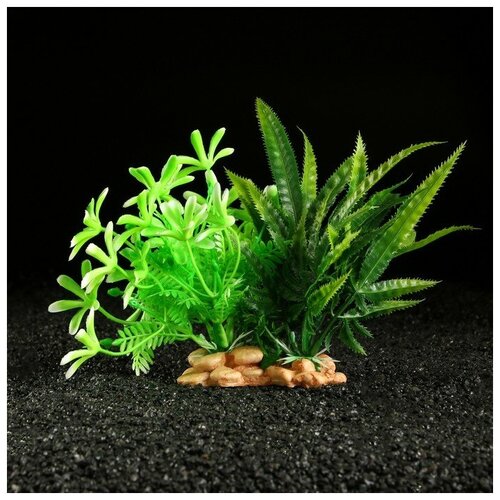Пижон Аква Растение искусственное аквариумное, 26 х 17 х 16 см