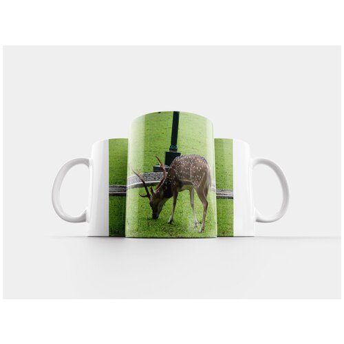 фото Кружка "олень, парк, богор" 320 мл lotsprints