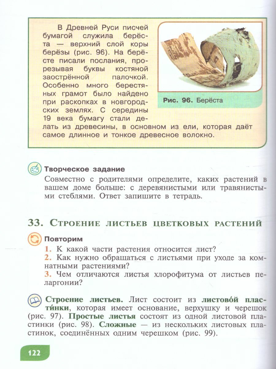 Технология. Цветоводство и декоративное садоводство. 6 класс. Учебное пособие. ОВЗ - фото №13