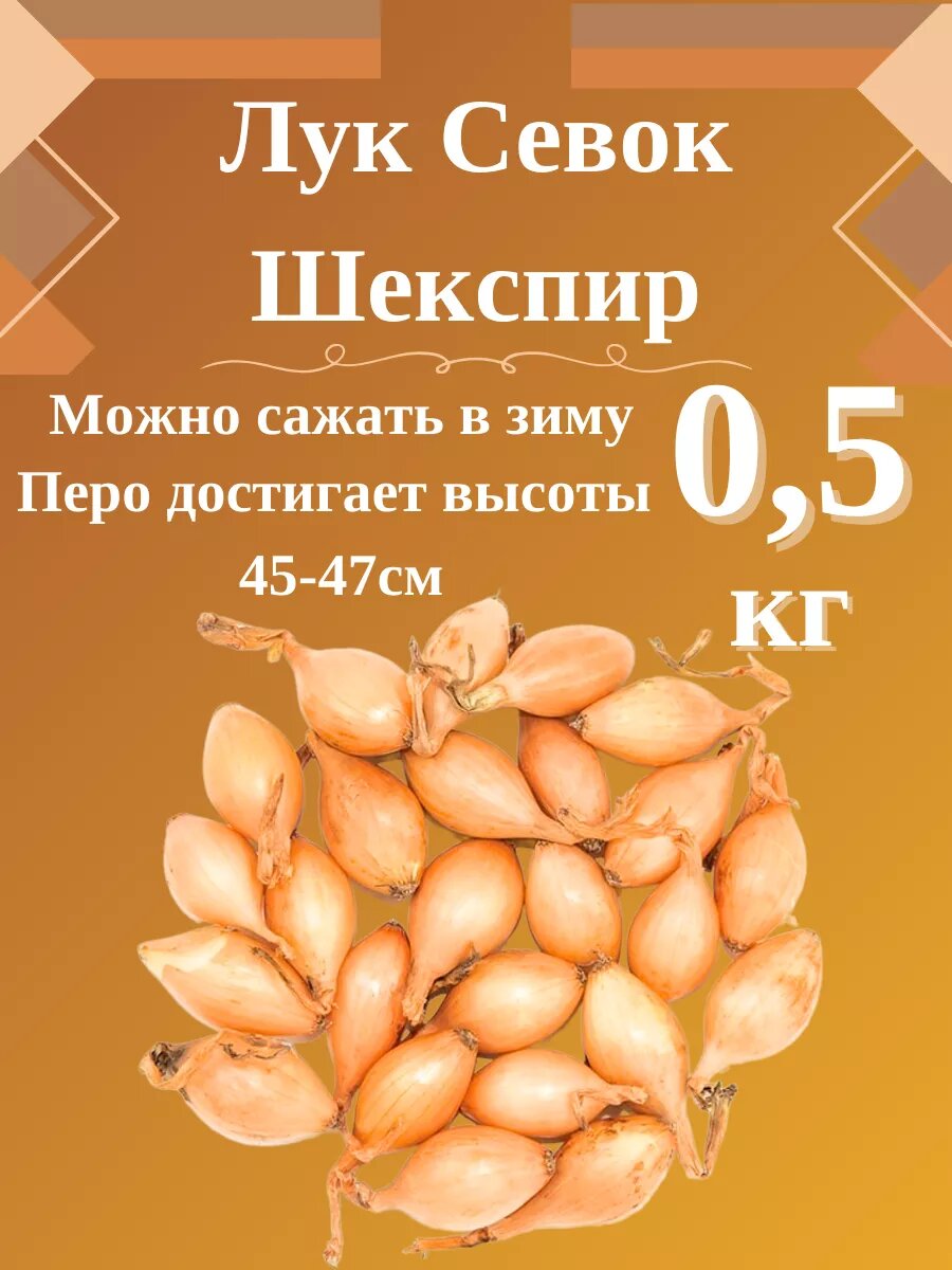 Лук Севок сорт